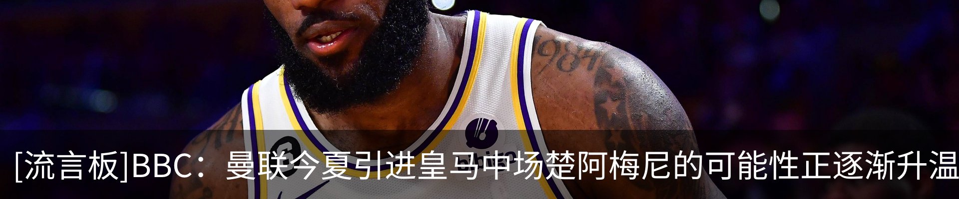 最新动态